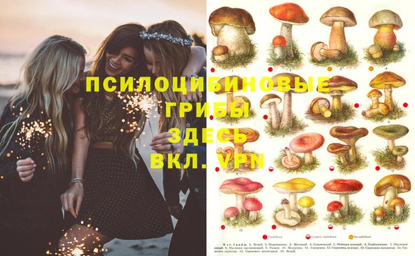mdpv Кукмор