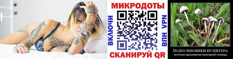 Галлюциногенные грибы Cubensis  Купить  Осташков 